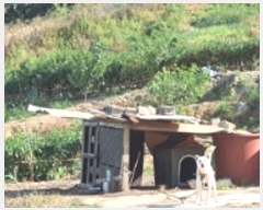  2024Ÿ5086 泲 ؽ  °︮ 65-2      (Ӿ)