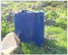  2024Ÿ5086 泲 ؽ  °︮ 65-2      (Ӿ)