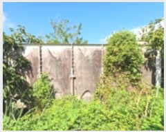  2024Ÿ5086 泲 ؽ  °︮ 65-2      (Ӿ)