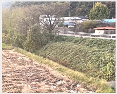  2024Ÿ��6713 �泲 â���� ��â�� �ϸ� ��� 4-3     ����(��)���