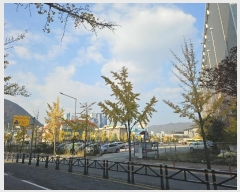  2024Ÿ7471 泲 ؽ  1131-1       ()