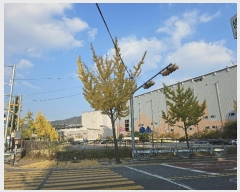  2024Ÿ7471 泲 ؽ  1131-1       ()