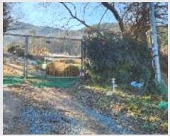  2024Ÿ7662 泲 â 걸 õ 570      ()