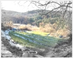  2024Ÿ7662 泲 â 걸 õ 570      ()