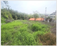  2024Ÿ104563 泲 â ر ֵ 351      (1)