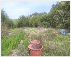  2024Ÿ104563 泲 â ر ֵ 351      (1)