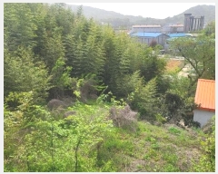  2024Ÿ104563 泲 â ر ֵ 351      (1)