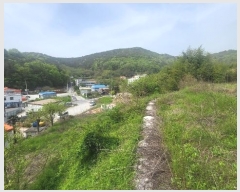  2024Ÿ104563 泲 â ر ֵ 351      (1)