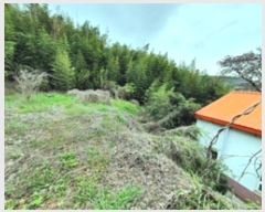  2024Ÿ104563 泲 â ر ֵ 351      (1)