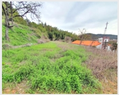  2024Ÿ104563 泲 â ر ֵ 351      (1)