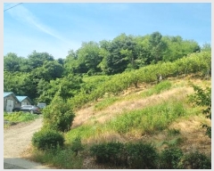  2024Ÿ��106941 �泲 â���� ��â�� ���� ���Ḯ 341     ����(��1)���