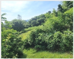  2024Ÿ��106941 �泲 â���� ��â�� ���� ���Ḯ 341     ����(��1)���