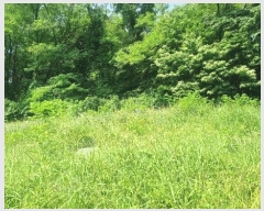  2024Ÿ��106941 �泲 â���� ��â�� ���� ���Ḯ 341     ����(��1)���