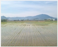  2024Ÿ��106941 �泲 â���� ��â�� ���� ���Ḯ 341     ����(��1)���