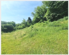  2024Ÿ��106941 �泲 â���� ��â�� ���� ���Ḯ 341     ����(��1)���