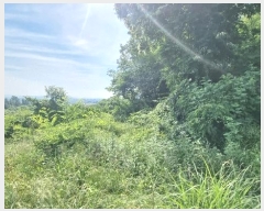  2024Ÿ��106941 �泲 â���� ��â�� ���� ���Ḯ 341     ����(��1)���