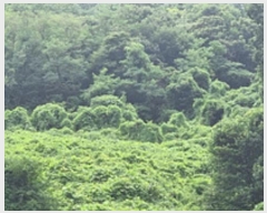  2024Ÿ109056 泲 â â ϸ  1128     ()