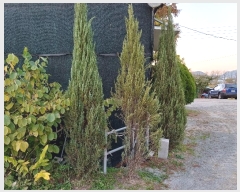  2024Ÿ114867 泲 â â ϸ  805     ()