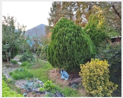  2024Ÿ114867 泲 â â ϸ  805     ()