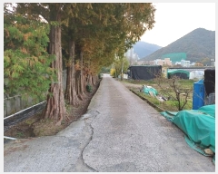  2024Ÿ114867 泲 â â ϸ  805     ()