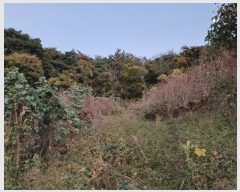  2024Ÿ114867 泲 â â ϸ  805     ()