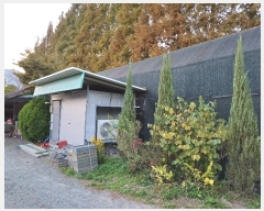  2024Ÿ114867 泲 â â ϸ  805     ()