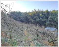  2024Ÿ��116047  �����