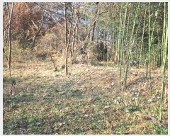  2024Ÿ��116047  �����