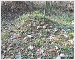  2024Ÿ��116047  �����