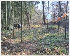  2024Ÿ��116047  �����