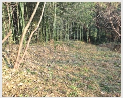  2024Ÿ��116047  �����