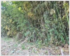  2024Ÿ��116047  �����