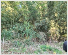  2024Ÿ��116047  �����