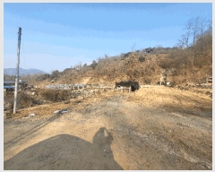  2024Ÿ��116856 �泲 â���� ��â�� �ϸ� �ܻ긮 1530     ����(��)���