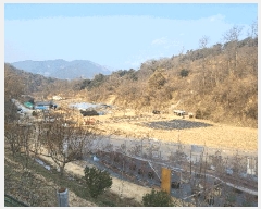  2024Ÿ��116856 �泲 â���� ��â�� �ϸ� �ܻ긮 1530     ����(��)���