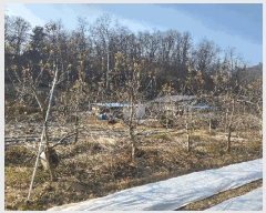  2024Ÿ��116856 �泲 â���� ��â�� �ϸ� �ܻ긮 1530     ����(��)���