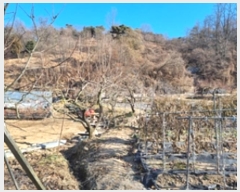  2024Ÿ��116856 �泲 â���� ��â�� �ϸ� �ܻ긮 1530     ����(��)���