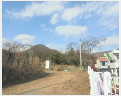  2024Ÿ��117125  �����