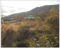  2024Ÿ��117125  �����