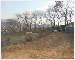  2024Ÿ��117125  �����