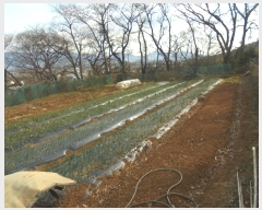  2024Ÿ��117125  �����