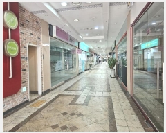  2024Ÿ3059 泲 ؽ ߾ӷ 137, 2 251ȣ (,޾ض)    ,繫ǰ