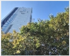  2024Ÿ6805 泲 â 걸 â 538, 201 7 702ȣ (,2뵿Ʈ)  Ʈ