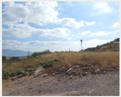  2024Ÿ��6959 �泲 ���ؽ� �뵿�� ���߸� 256      ����(��1)���