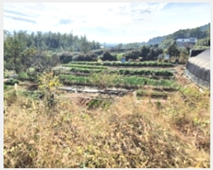  2024Ÿ��6959 �泲 ���ؽ� �뵿�� ���߸� 256      ����(��1)���