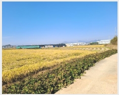  2024Ÿ��7136 �泲 ���ؽ� �Ѹ��� ��渮 2234      ����(��)���