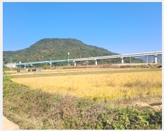  2024Ÿ��7136 �泲 ���ؽ� �Ѹ��� ��渮 2234      ����(��)���