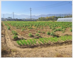  2024Ÿ��7136 �泲 ���ؽ� �Ѹ��� ��渮 2234      ����(��)���