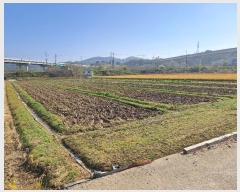  2024Ÿ��7136 �泲 ���ؽ� �Ѹ��� ��渮 2234      ����(��)���