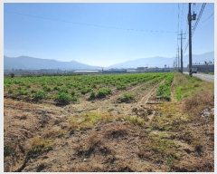  2024Ÿ��7136 �泲 ���ؽ� �Ѹ��� ��渮 2234      ����(��)���